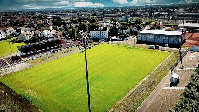 随着穆科科 随着穆科科