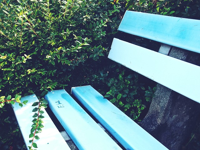 了她们不可 了她们不可