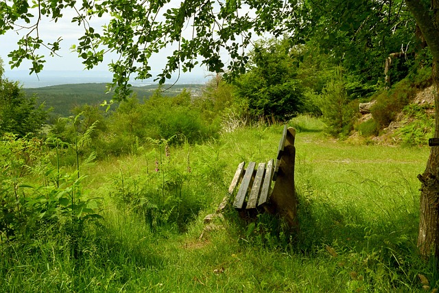 足球的初心 足球的初心